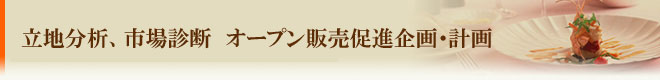 立地分析、市場診断　オープン販売促進企画・計画